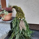 Apartmán Haus Traninger Flachau