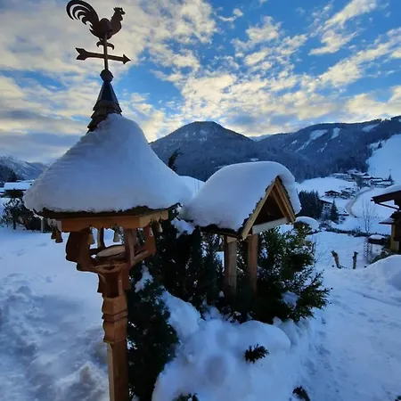 Haus Traninger * Flachau