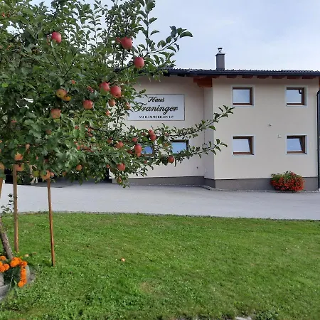 Haus Traninger דירה