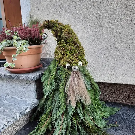 דירה Haus Traninger פלאכאו