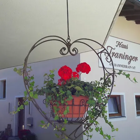 Apartment Haus Traninger *