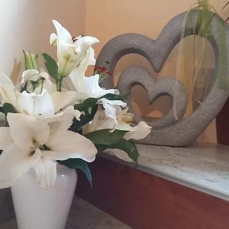 Haus Traninger פלאכאו