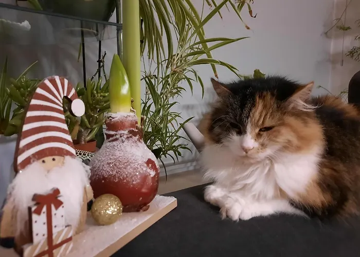 Апартаменты Haus Traninger