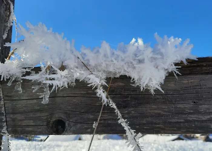 דירה Haus Traninger