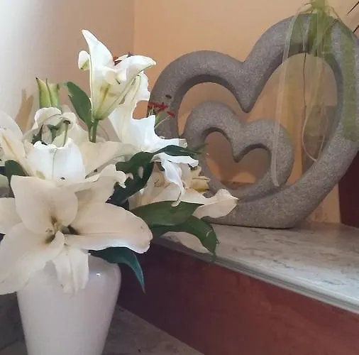 Haus Traninger פלאכאו